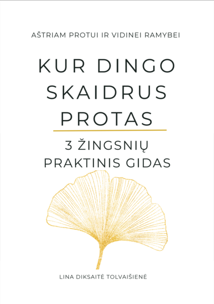 Knyga „Kur dingo skaidrus protas"