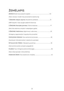 Knyga „Kur dingo skaidrus protas" - Image 2