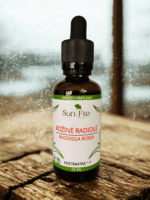 Rožinė radiolė - Image 2