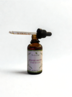 Memory Master / Atminties Galia - Image 2