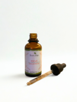 Focus / Koncentracija - Image 4